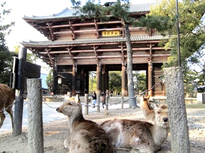 Todaiji-temple South Gate