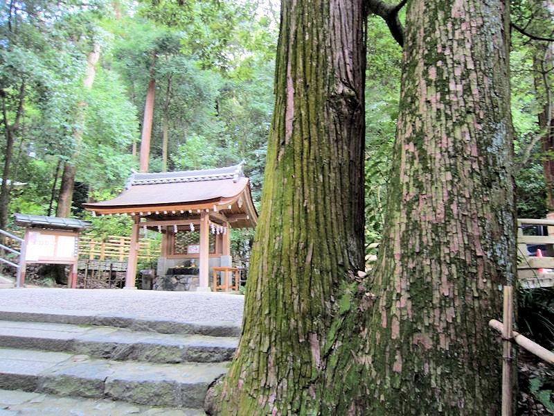大神神社の手水舎