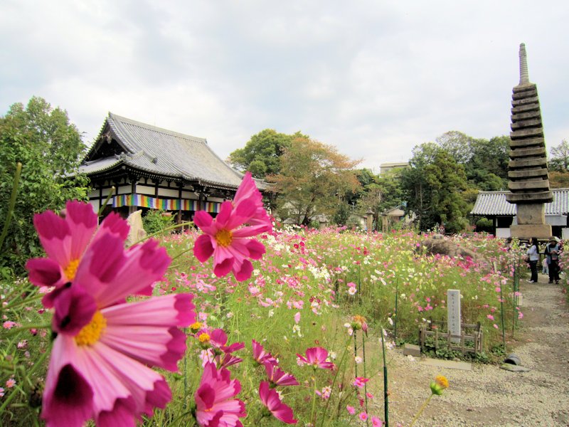 Hannyaji Temple