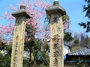 笠塔婆 般若寺