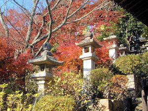 奈良県桜井市にある長谷寺