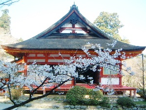 談山神社の桜
