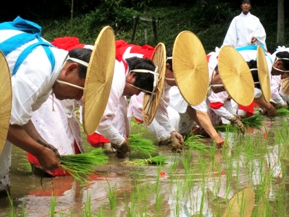 大神神社の御田植祭