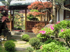 japanese garden