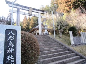 八咫烏神社の鳥居